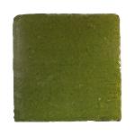 Carreau émaillé </br>Vert Printanier