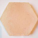 Tomettes de Terre Cuite Tradition Hexagone de 16