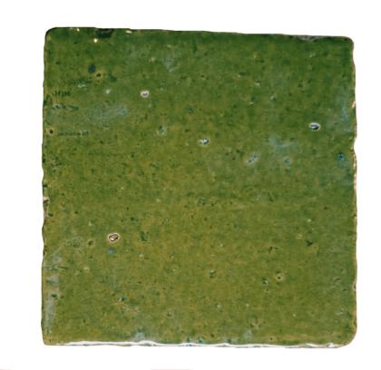 Carreau émaillé </br>Vert Printanier