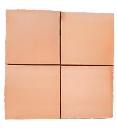Carreau de Terre Cuite Tradition 20x20